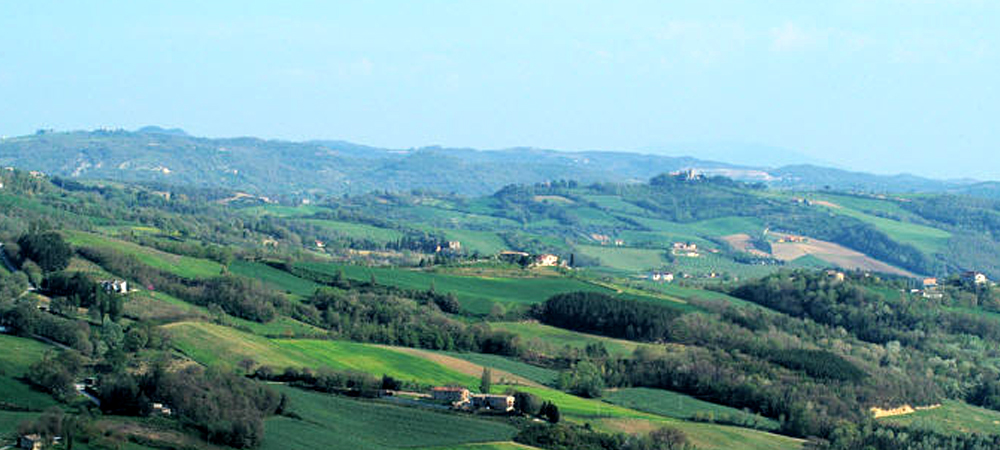 foto_contatti212